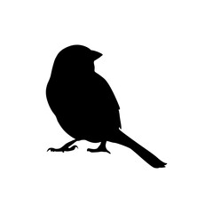Obraz premium Bird silhouette vector