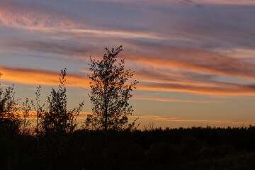 Fototapeta na wymiar Summer Sunset at Pylypow Wetlands