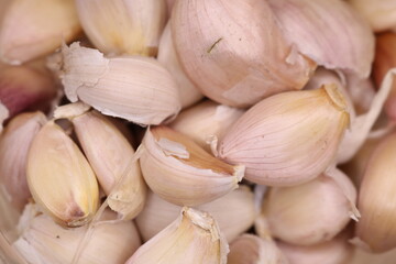 close up garlic and cloves sensitive focus