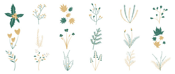 Set of winter botanical leaves on white background. Collection of winter christmas foliage, flower, pine leaf, holly, maples, grass. Design for print, sticker, decoration, card, poster, artwork. 