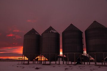 Grain bin silhouettes in the purple and orange winter sunset. © Saeedatun