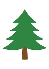 CHRISTMAS TREE, ISOLATED PINE TO DECORATE