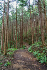 太田道灌生誕地の山枝庵（Sanshian）跡への山道／日本埼玉県入間郡越生町