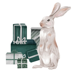 A hare and boxes with gifts. Isolated illustration for design in watercolor style. © iuvmiro