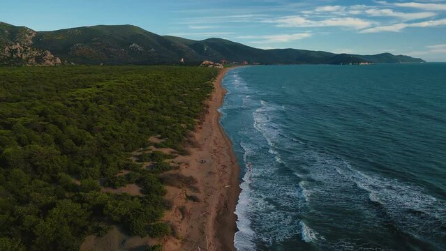 Wild beach at Maremma National Park in Tuscany, Italy. Aerial drone footage of green pine tree forest and seaside coast with islands in the distance and blue sky and umbrella shaped trees. Grosseto 4K