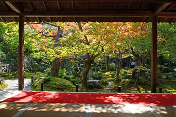 京都 圓光寺の十牛之庭