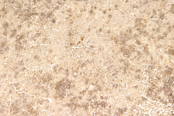 Vintage leather drum texture brown patterns on background