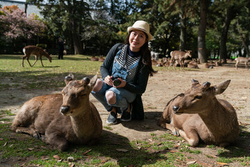 happy Asian Japanese woman traveler looking at camera with smile while taking picture with two deer...