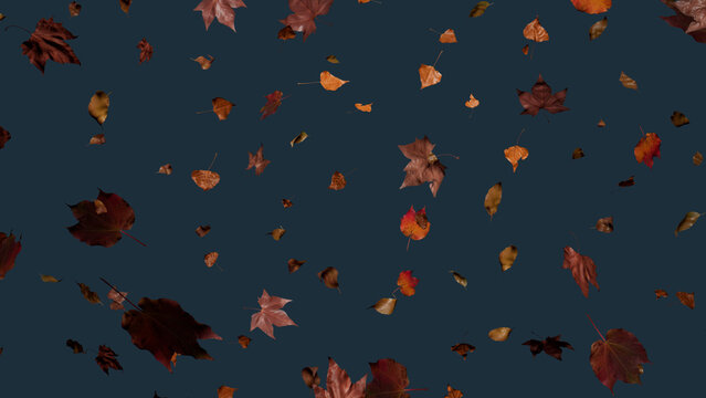 Autumn themed Wallpaper, with Leaves against Blue Grey Color. Seasonal Banner with copy-space.