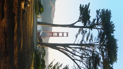 Vertical aerial shot of drone flying between tall pine trees with famous red Golden Gate bridge visible in distance in San Francisco bay on golden sunrise light with clear blue sky above, 4K footage - Powered by Adobe