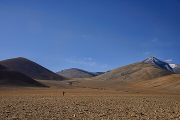 Trekking the high barren plateau and passes of the Changthang enroute to Tso Moriri, Ladakh, India