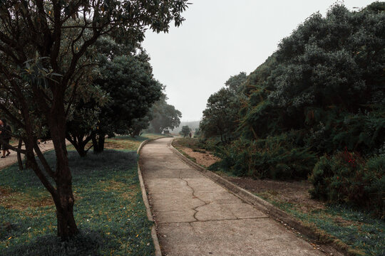 path marked by cement sidewalk surrounded by vegetation and fog in the Irazu Volcano National Park