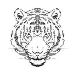 Line drawing vector of black tiger face on white background