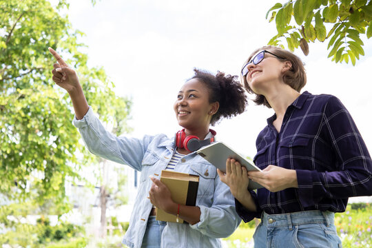 WHAT IS THE MEANING INFORMAL EDUCATION visual data 5