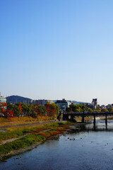 Fototapeta na wymiar 京都　鴨川の紅葉