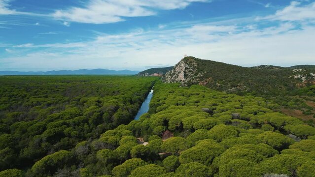 Maremma National Park in Tuscany, Italy. Green pine tree forest and a castle ruin at the coast at sunset with an island in the distance and blue sky and umbrella shaped trees. 4K UHD aerial drone