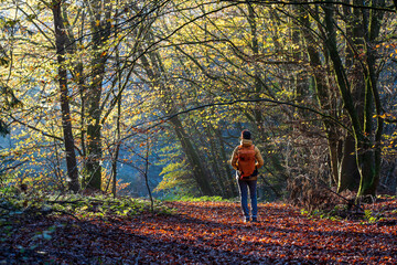 Fototapeta premium Pfalz im Herbst