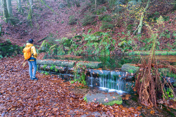 Pfalz im Herbst