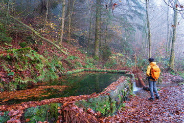 Daher Felsenland in der Pfalz. Wandern im Herbst. Karlstalschlucht bei Trippstadt