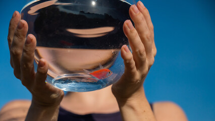 Woman holding round aquarium with goldfish on blue sky background. 