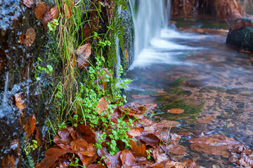 Pfalz im Herbst