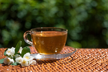 green tea with jasmine in a glass bowl against the background of green bushes