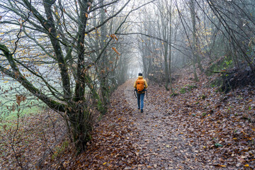 Daher Felsenland in der Pfalz. Wandern im Herbst. Karlstalschlucht bei Trippstadt