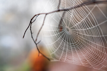 Pfalz im Herbst