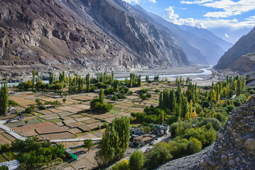Fertile fields in the Balti village of Turtuk, along the Shyok River and Karakoram Range, Ladakh,...