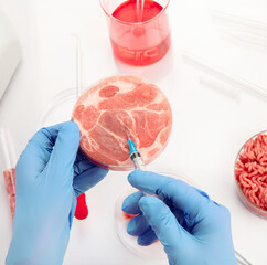 Petri dish with cultured meat in laboratory