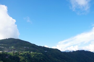 台湾　阿里山山脈と茶畑の風景
