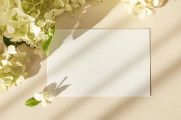 Invitation card mockup with hydrangea flowers on beige pastel background. Template blank of white paper mock up for branding and advertising. Top view, flat lay, copy space.