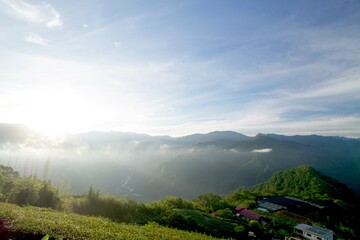 台湾　阿里山山脈と茶畑の風景　日の出
