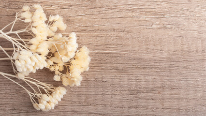 white dried flowers on brown background copy space