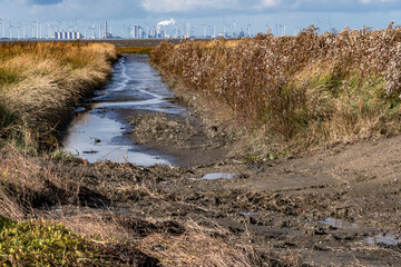 Sicht auf einen Arbeitshafen an der Nordseeküste, im Vordergrund ein Schutzgebiet mit Priel.