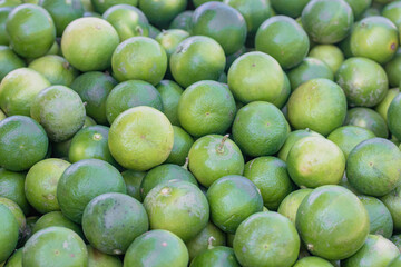 green lime pile for background