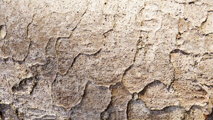 Bark close-up texture background material