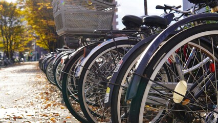 Morning scenery with commuter bicycles lined up