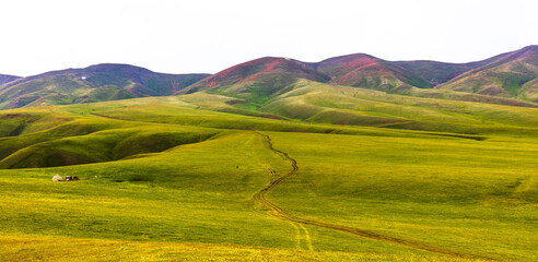 landscape with grass and mountains