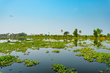 Fototapeta premium Kerala backwaters, India. Boats on the canals 