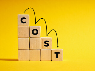 Decreasing costs and cost management concept. Lean, control, reduction, optimization of costs.