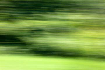 Green nature in summer in motion.