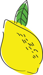 Hand drawn style fruit lemon