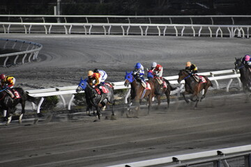 高知競馬場