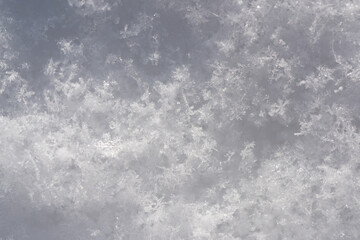 Background of fresh snow white texture. Fluffy snowy snowflakes.
