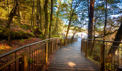 Obraz premium Mirror Lake at Fiordland National Park, Snowy mountains are reflecting in a calm water. New Zealand.