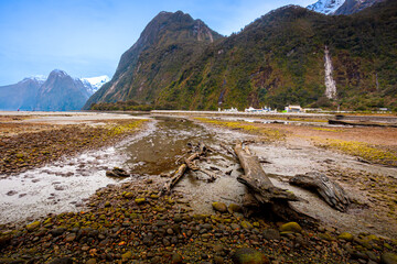 Green stone at milford sound New Zealand.