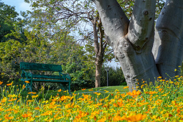 Obraz premium bench in a colorful flower garden with morning sunlight