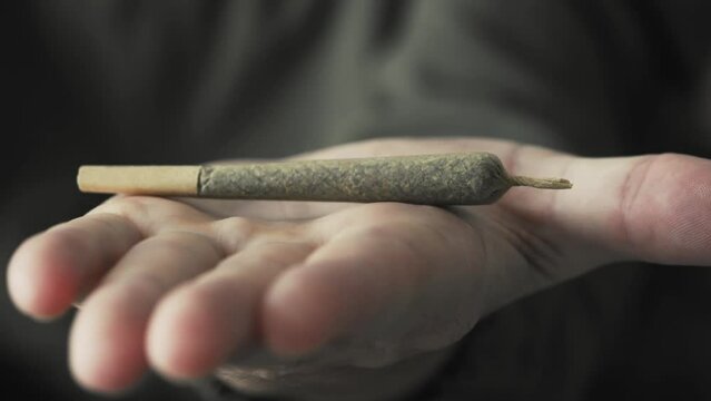 Man opening hand and holding marijuana joint. CBD cannabis close up.