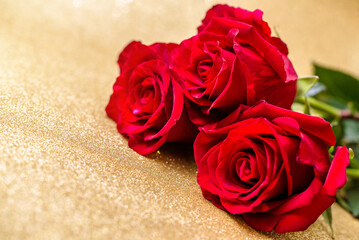 Red rose on a shiny gold background
